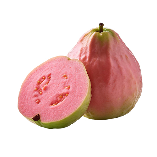 Pink Guava Manufacturers in Delhi