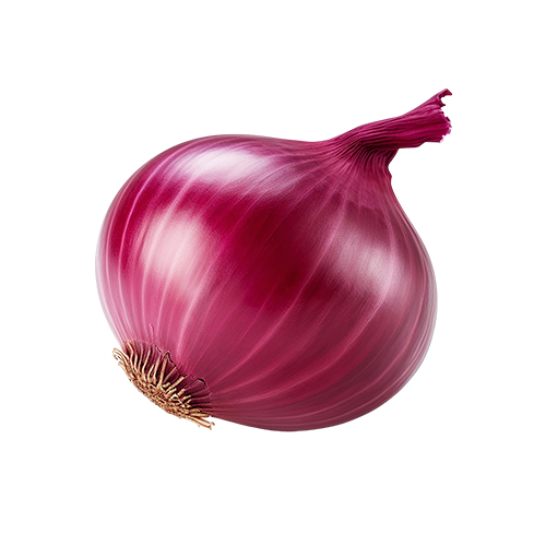 Onion Manufacturers in Delhi